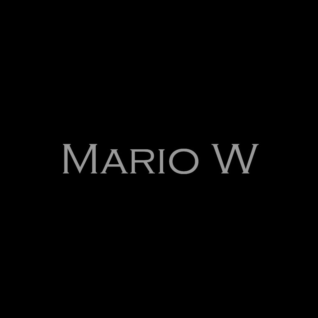 Mario W Voice Artist